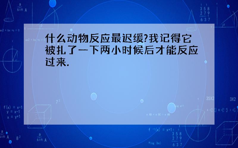 什么动物反应最迟缓?我记得它被扎了一下两小时候后才能反应过来.