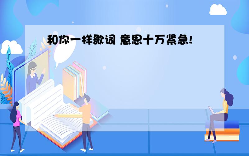 和你一样歌词 意思十万紧急!