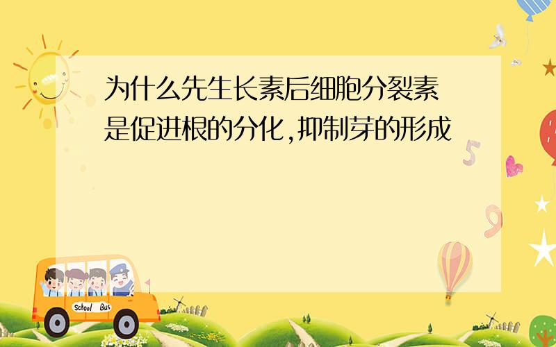 为什么先生长素后细胞分裂素 是促进根的分化,抑制芽的形成