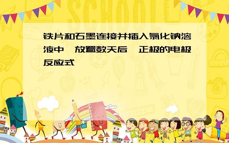 铁片和石墨连接并插入氯化钠溶液中,放置数天后,正极的电极反应式