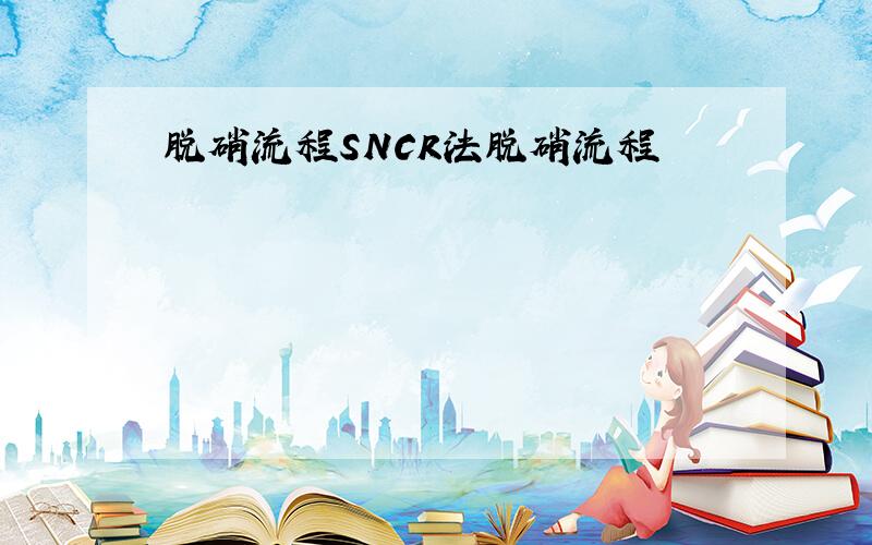 脱硝流程SNCR法脱硝流程