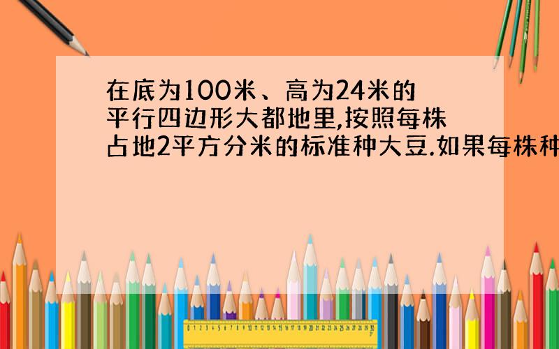 在底为100米、高为24米的平行四边形大都地里,按照每株占地2平方分米的标准种大豆.如果每株种大豆0.5千克