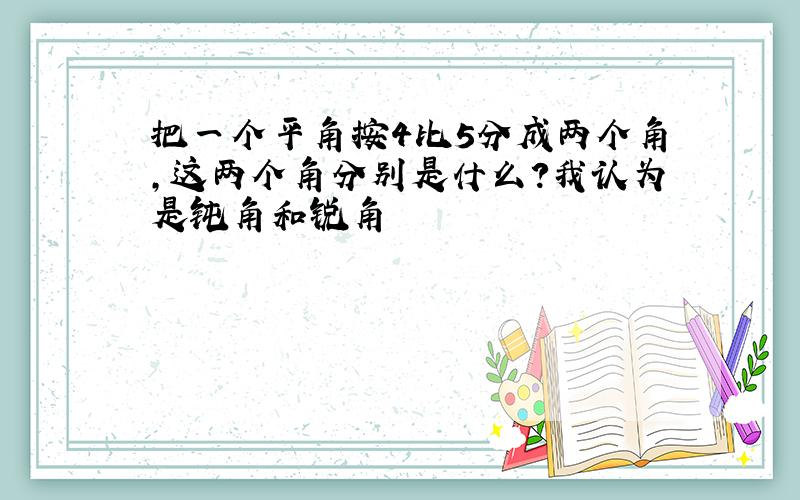 把一个平角按4比5分成两个角,这两个角分别是什么?我认为是钝角和锐角