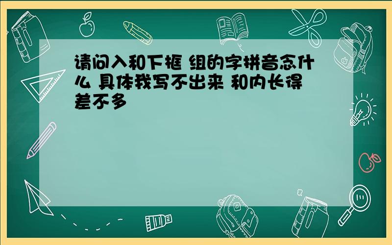 请问入和下框 组的字拼音念什么 具体我写不出来 和内长得差不多