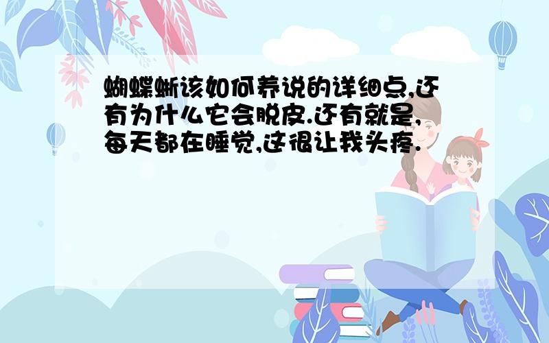 蝴蝶蜥该如何养说的详细点,还有为什么它会脱皮.还有就是,每天都在睡觉,这很让我头疼.