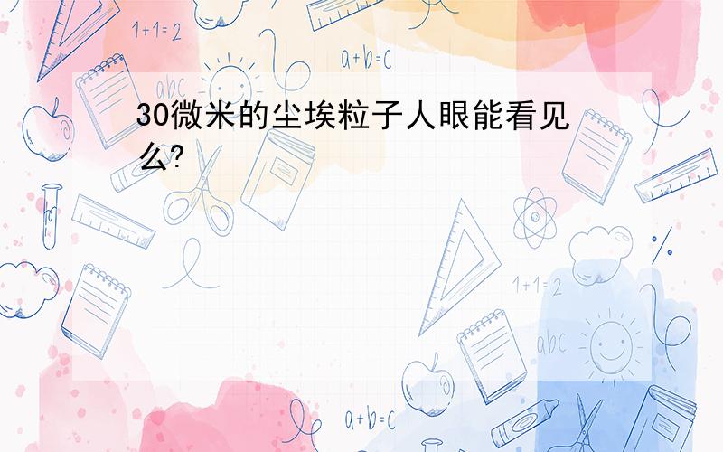 30微米的尘埃粒子人眼能看见么?