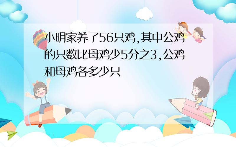 小明家养了56只鸡,其中公鸡的只数比母鸡少5分之3,公鸡和母鸡各多少只