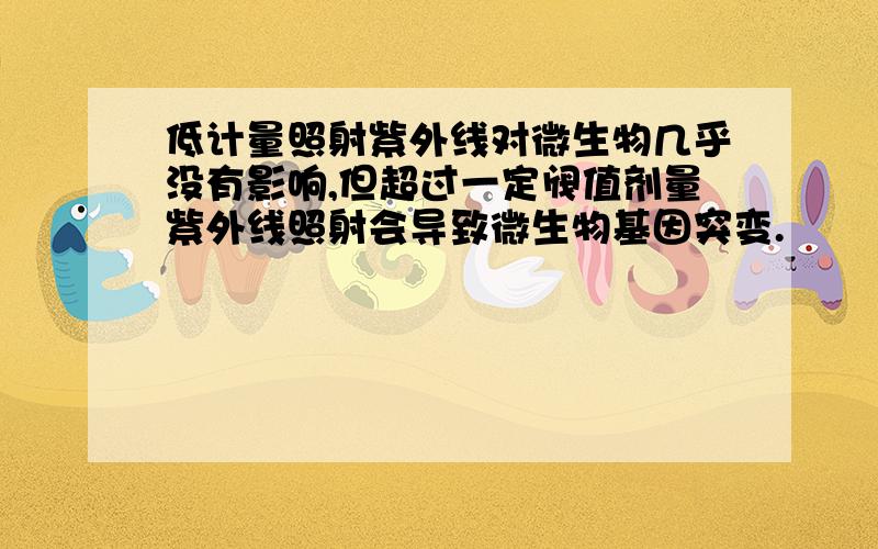 低计量照射紫外线对微生物几乎没有影响,但超过一定阀值剂量紫外线照射会导致微生物基因突变.