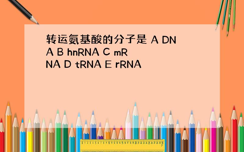 转运氨基酸的分子是 A DNA B hnRNA C mRNA D tRNA E rRNA