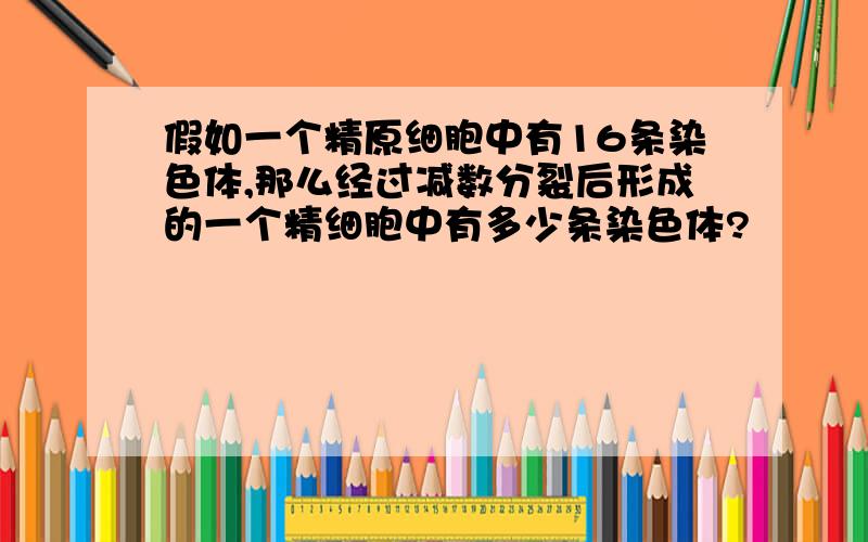 假如一个精原细胞中有16条染色体,那么经过减数分裂后形成的一个精细胞中有多少条染色体?