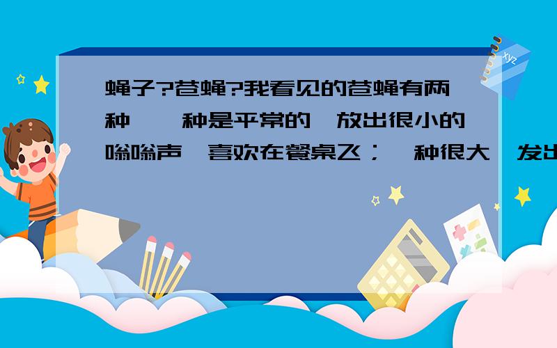 蝇子?苍蝇?我看见的苍蝇有两种,一种是平常的,放出很小的嗡嗡声,喜欢在餐桌飞；一种很大,发出很大的嗡嗡声,爱往吊灯上撞.