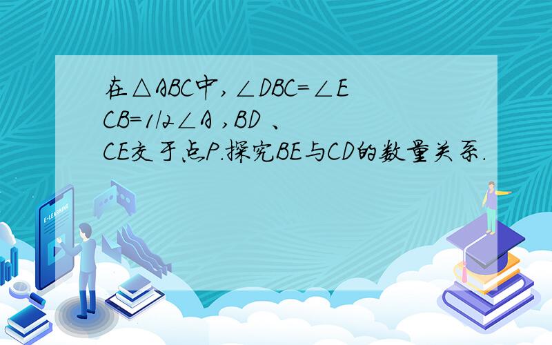 在△ABC中,∠DBC=∠ECB=1/2∠A ,BD 、CE交于点P.探究BE与CD的数量关系.