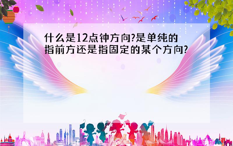 什么是12点钟方向?是单纯的指前方还是指固定的某个方向?