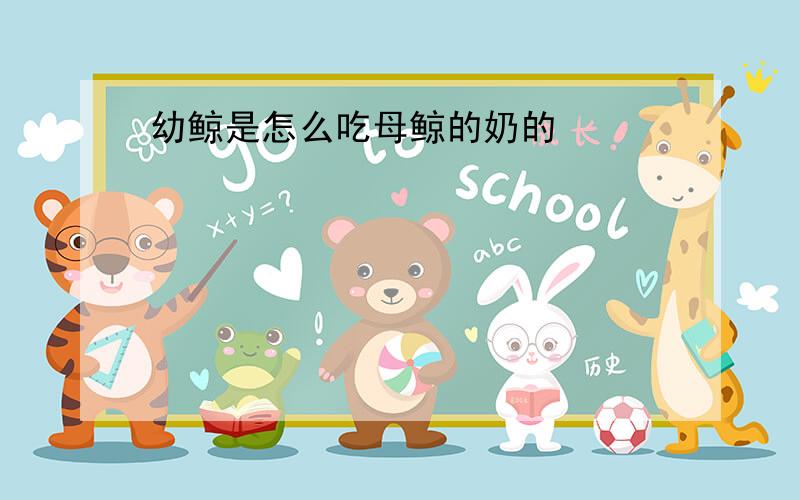 幼鲸是怎么吃母鲸的奶的