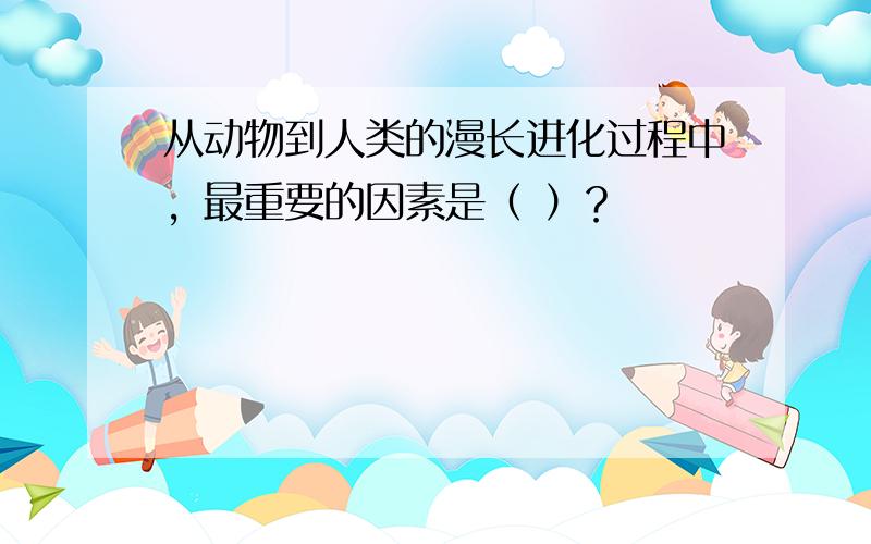 从动物到人类的漫长进化过程中，最重要的因素是（ ）？