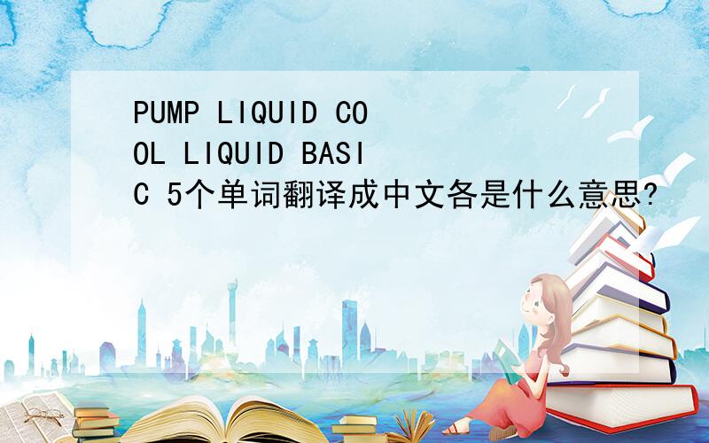 PUMP LIQUID COOL LIQUID BASIC 5个单词翻译成中文各是什么意思?