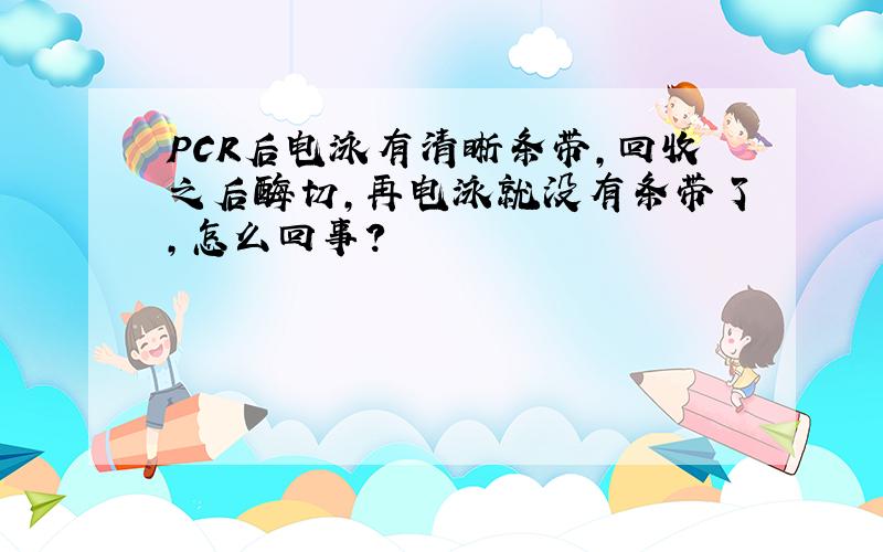 PCR后电泳有清晰条带,回收之后酶切,再电泳就没有条带了,怎么回事?