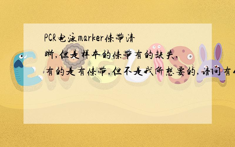 PCR电泳marker条带清晰,但是样本的条带有的缺失,有的是有条带,但不是我所想要的,请问有什么原因?