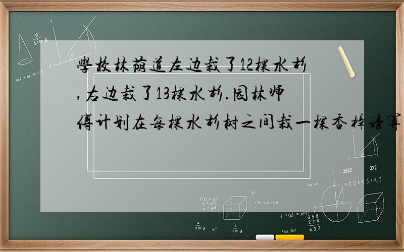 学校林荫道左边栽了12棵水杉,右边栽了13棵水杉.园林师傅计划在每棵水杉树之间栽一棵香樟请算一算一共要栽多少棵香樟