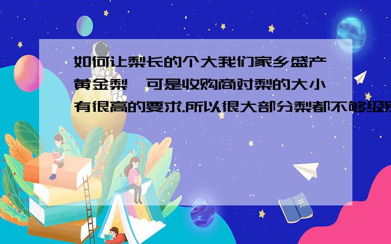 如何让梨长的个大我们家乡盛产黄金梨,可是收购商对梨的大小有很高的要求.所以很大部分梨都不够级别,这样才能使梨的个头大.