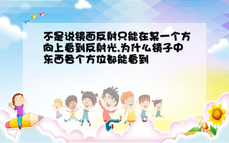 不是说镜面反射只能在某一个方向上看到反射光,为什么镜子中东西各个方位都能看到