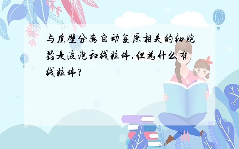 与质壁分离自动复原相关的细胞器是液泡和线粒体,但为什么有线粒体?