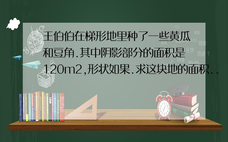 王伯伯在梯形地里种了一些黄瓜和豆角.其中阴影部分的面积是120m2,形状如果.求这块地的面积..