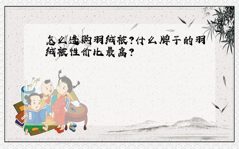 怎么选购羽绒被?什么牌子的羽绒被性价比最高?