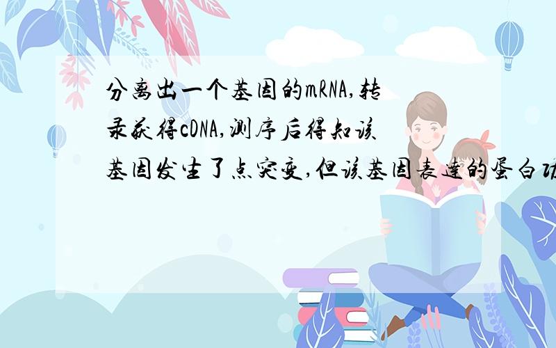 分离出一个基因的mRNA,转录获得cDNA,测序后得知该基因发生了点突变,但该基因表达的蛋白功能没有发生改变