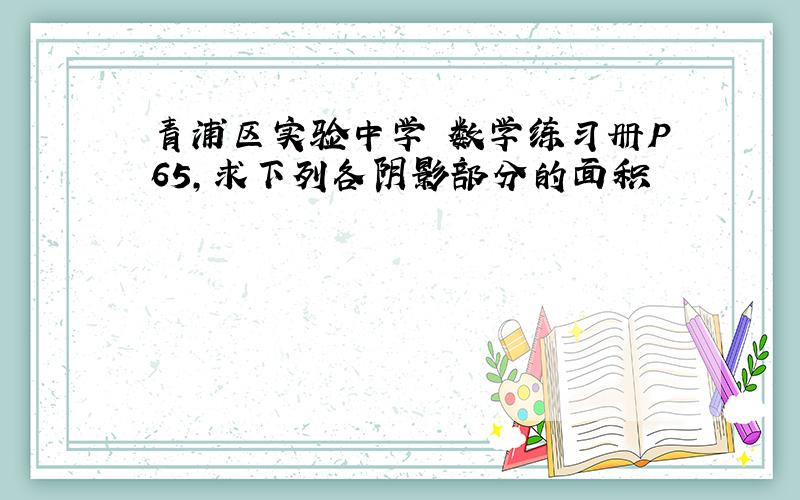 青浦区实验中学 数学练习册P65,求下列各阴影部分的面积