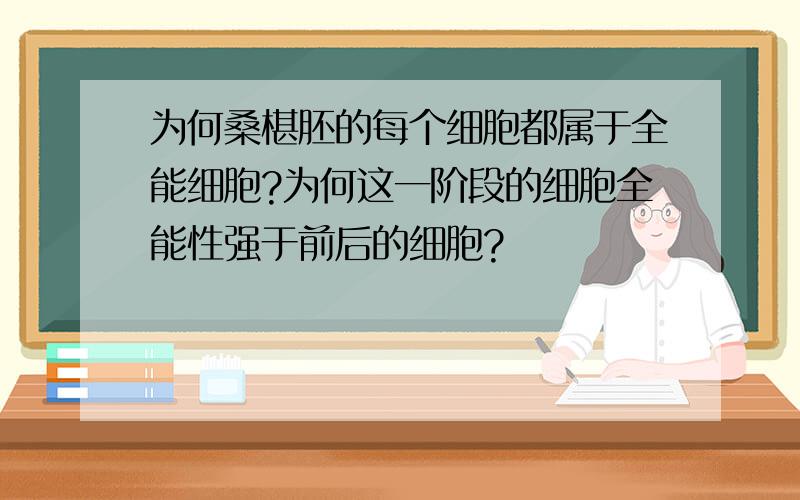 为何桑椹胚的每个细胞都属于全能细胞?为何这一阶段的细胞全能性强于前后的细胞?