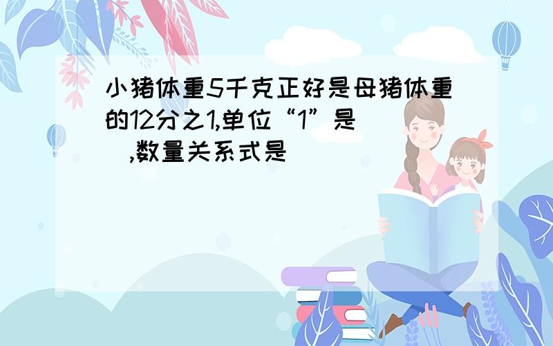 小猪体重5千克正好是母猪体重的12分之1,单位“1”是（）,数量关系式是（）