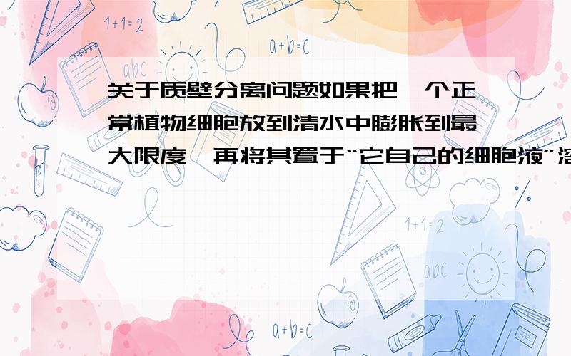 关于质壁分离问题如果把一个正常植物细胞放到清水中膨胀到最大限度,再将其置于“它自己的细胞液”溶液（与膨胀前浓度相当的溶液