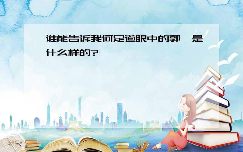 谁能告诉我何足道眼中的郭襄是什么样的?