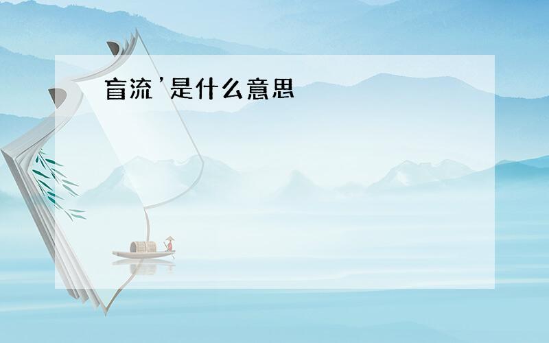 盲流’是什么意思