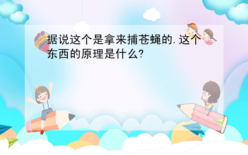 据说这个是拿来捕苍蝇的.这个东西的原理是什么?