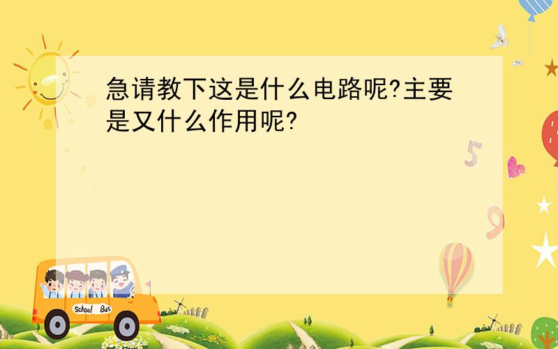 急请教下这是什么电路呢?主要是又什么作用呢?