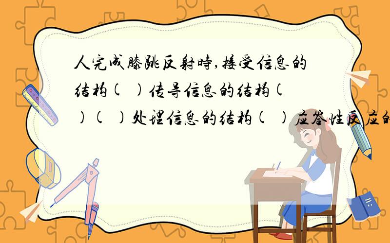 人完成膝跳反射时,接受信息的结构( )传导信息的结构( )( )处理信息的结构( )应答性反应的结构( )