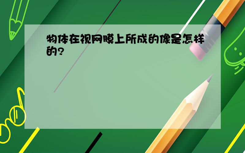 物体在视网膜上所成的像是怎样的?