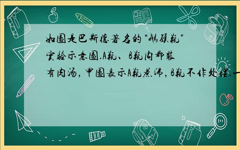 如图是巴斯德著名的“鹅颈瓶”实验示意图．A瓶、B瓶内都装有肉汤，甲图表示A瓶煮沸，B瓶不作处理．一段时间后，其中一瓶仍然