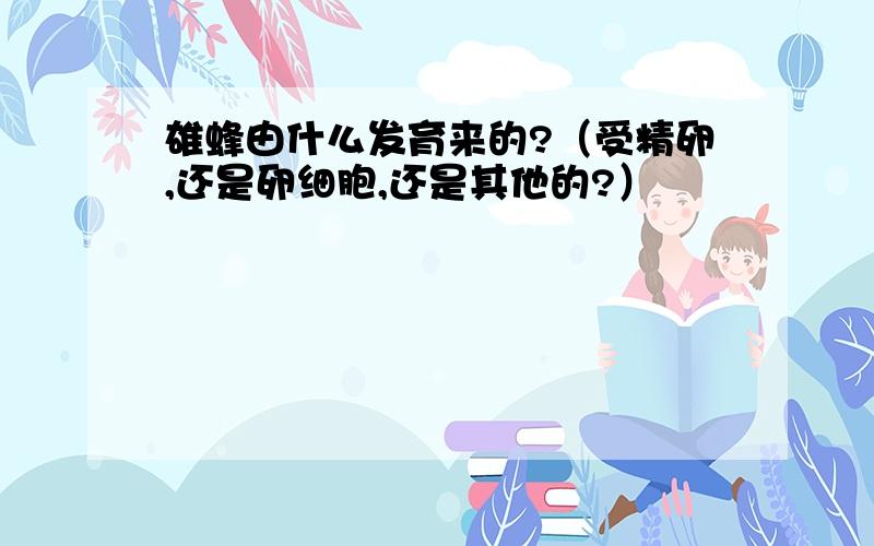 雄蜂由什么发育来的?（受精卵,还是卵细胞,还是其他的?）