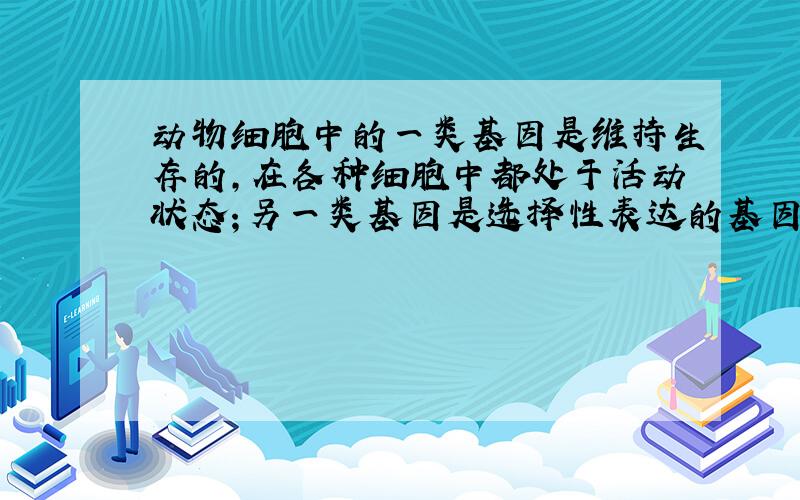 动物细胞中的一类基因是维持生存的，在各种细胞中都处于活动状态；另一类基因是选择性表达的基因.如图是能产生抗体A的细胞，关