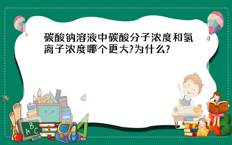 碳酸钠溶液中碳酸分子浓度和氢离子浓度哪个更大?为什么?