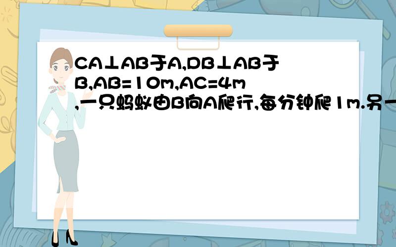 CA⊥AB于A,DB⊥AB于B,AB=10m,AC=4m,一只蚂蚁由B向A爬行,每分钟爬1m.另一只蚂蚁由B点向D爬行,