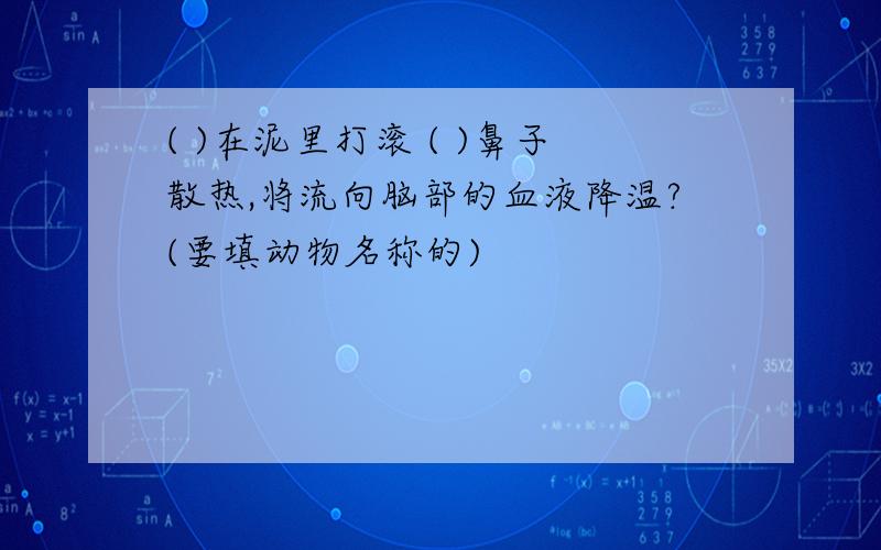 ( )在泥里打滚 ( )鼻子散热,将流向脑部的血液降温?(要填动物名称的)