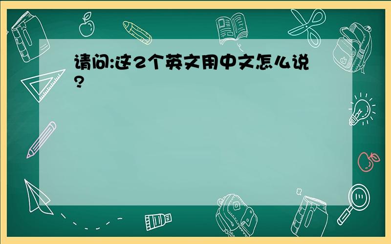 请问:这2个英文用中文怎么说?