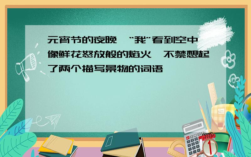 元宵节的夜晚,“我”看到空中像鲜花怒放般的焰火,不禁想起了两个描写景物的词语