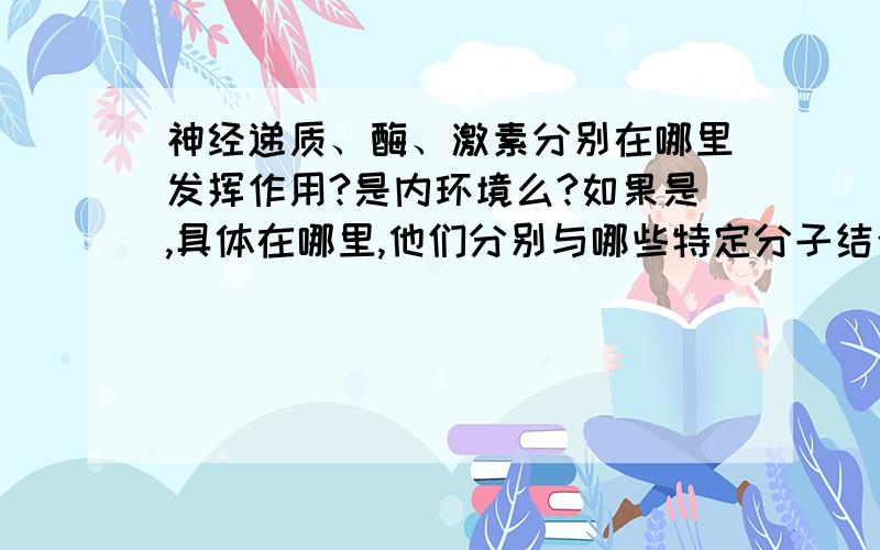 神经递质、酶、激素分别在哪里发挥作用?是内环境么?如果是,具体在哪里,他们分别与哪些特定分子结合