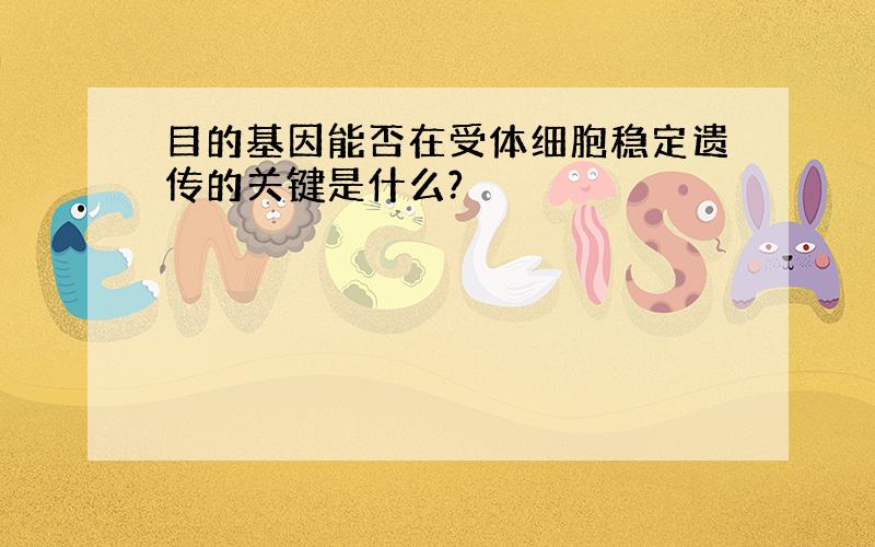 目的基因能否在受体细胞稳定遗传的关键是什么?