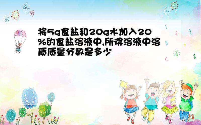 将5g食盐和20g水加入20%的食盐溶液中,所得溶液中溶质质量分数是多少